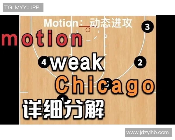 深圳排球队整体压制体系解析与战术运用探讨